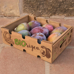 Caja de Mango 100% Biorigen