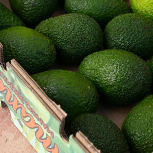 Suscripción de Caja de Aguacate Hass