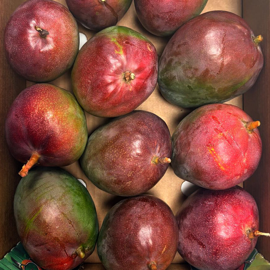 caja 6 kg kent Caja de Mango Kent Managu - Imagen 1