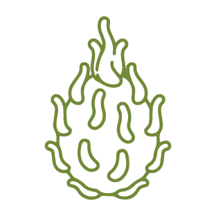 Pitaya