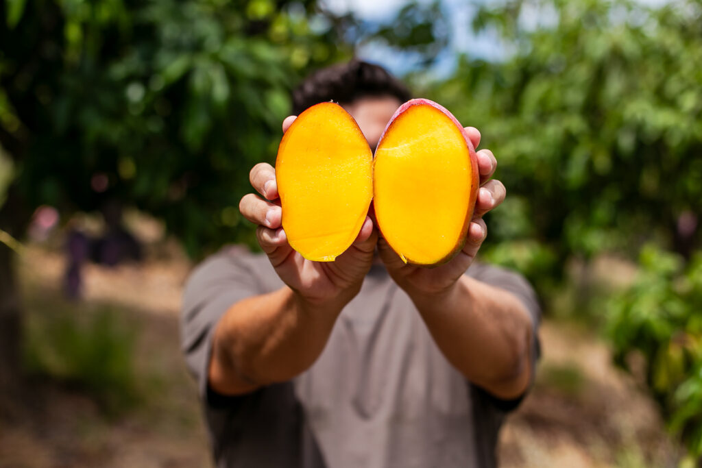 MANGO, INFINITAS FORMAS: 7 recetas con mango español de temporada para sorprender en la cocina. 2 MANGO, INFINITAS FORMAS: 7 recetas con mango español de temporada para sorprender en la cocina. managu 089