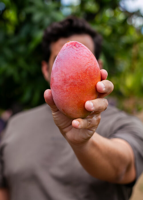 Frutas Tropicales Managú managu 090