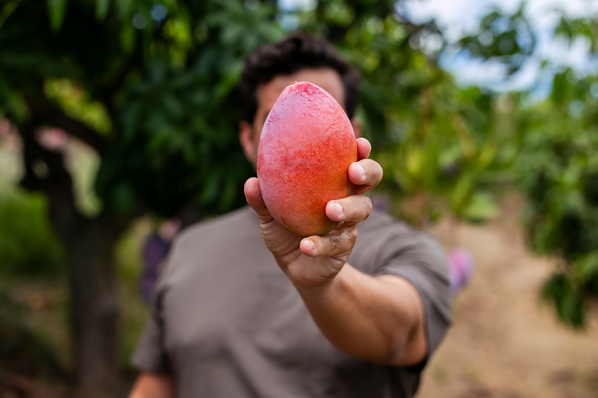 MANGO, INFINITAS FORMAS: 7 recetas con mango español de temporada para sorprender en la cocina. managu 090