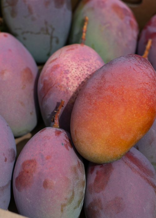 De los almendros al mango