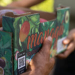 Caja de mango y aguacate Managú
