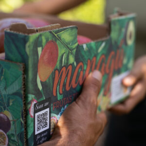Caja de mango y aguacate Managú
